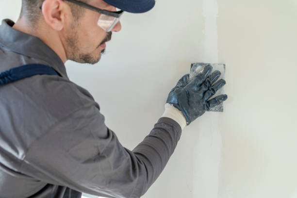 Best Drywall Repair  in USA